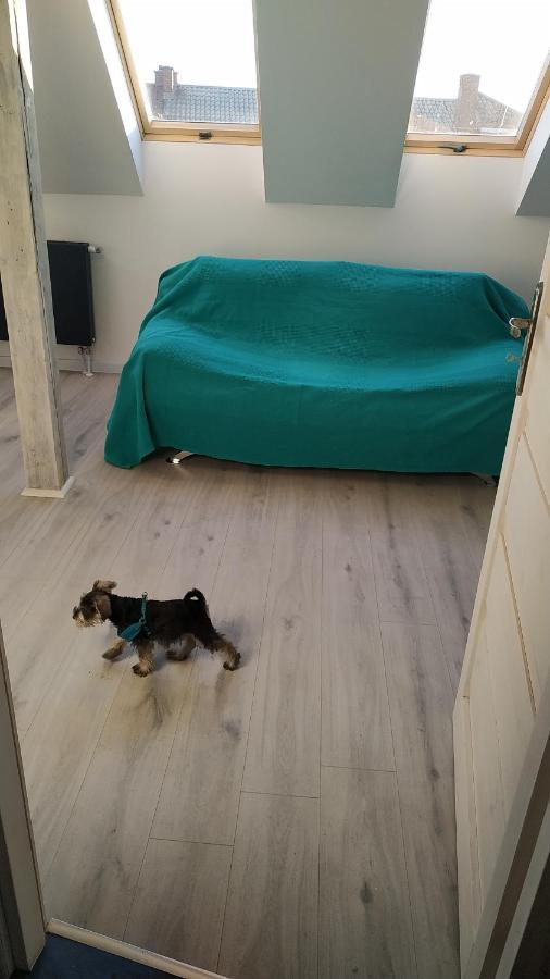 Apartament Witkacego Zielony Słupsk Extérieur photo