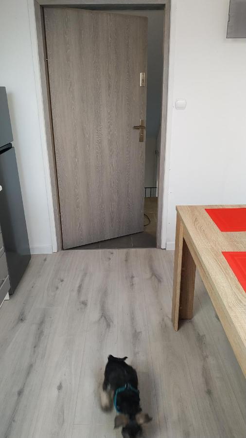 Apartament Witkacego Zielony Słupsk Extérieur photo
